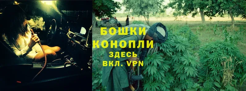 Конопля Ganja  Никольское 